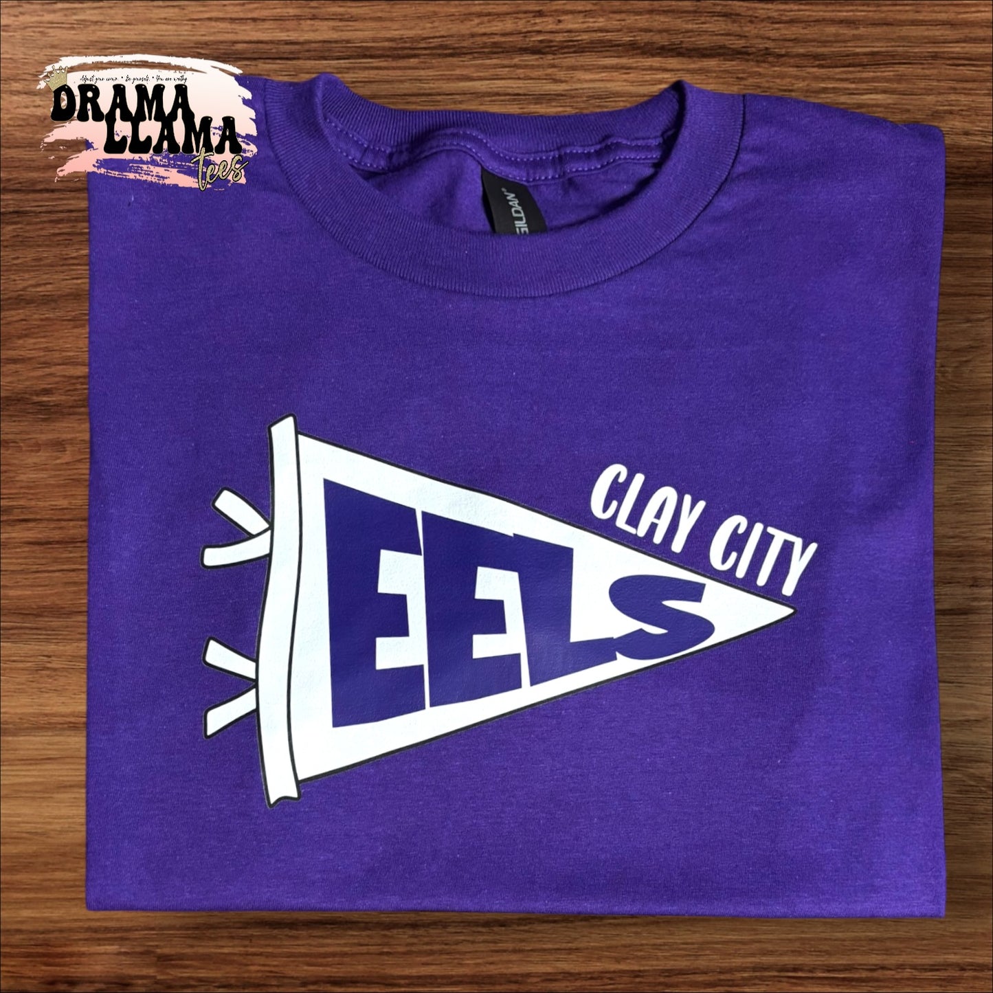 Pennant NO BOW Spirit COMFORT COLORS Tees | Put team name/info in note box!!