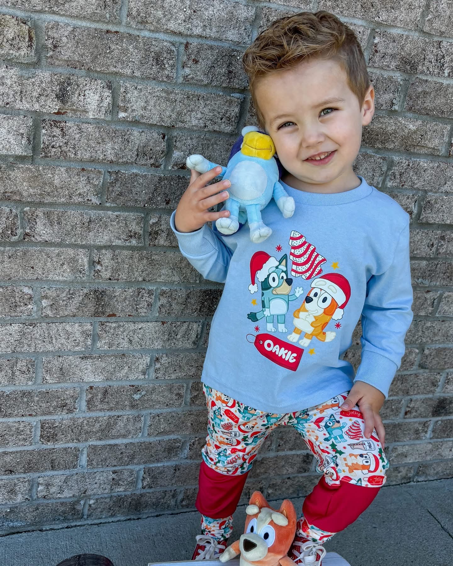 Personalized Heeler Christmas Tees/Sweatshirts: DLTPO