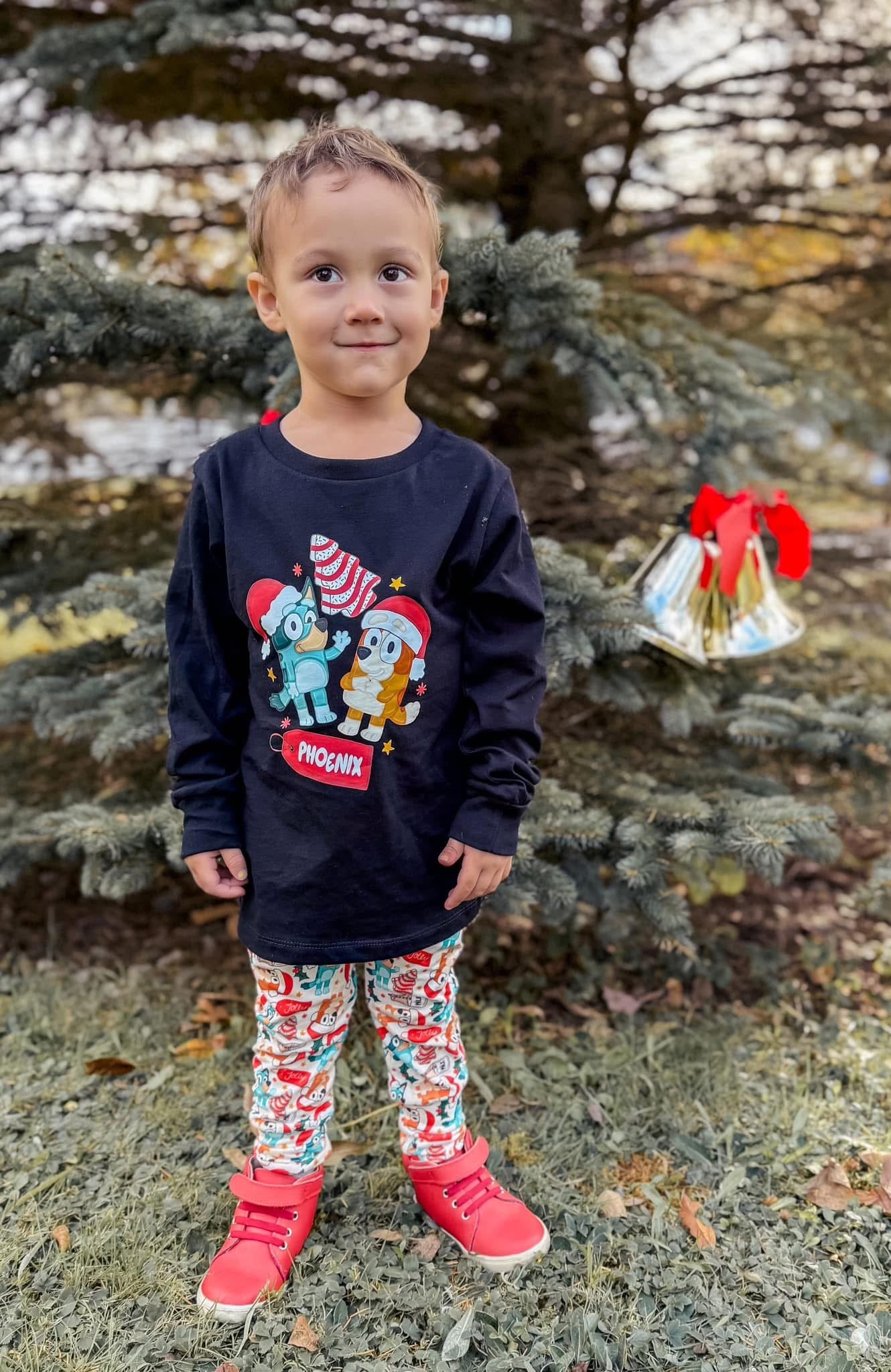 Personalized Heeler Christmas Tees/Sweatshirts: DLTPO