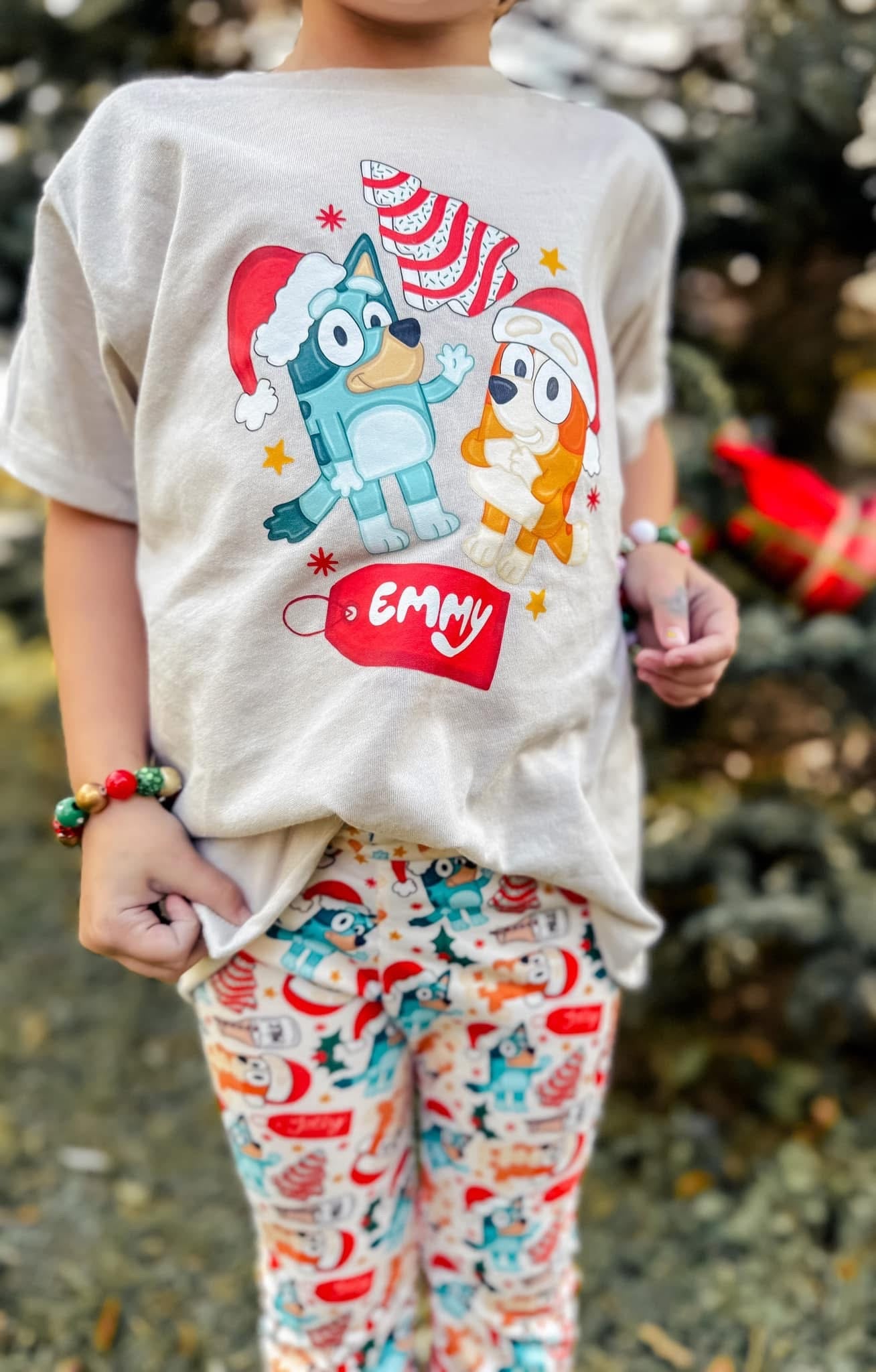 Personalized Heeler Christmas Tees/Sweatshirts: DLTPO