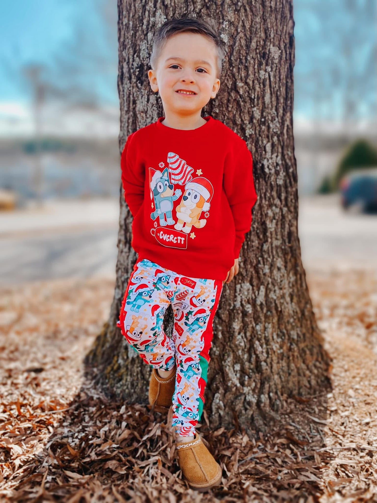 Personalized Heeler Christmas Tees/Sweatshirts: DLTPO